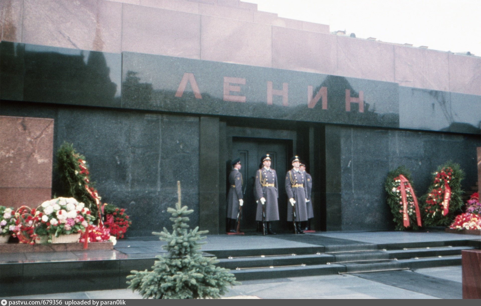 пальмы у мавзолея ленина в москве на