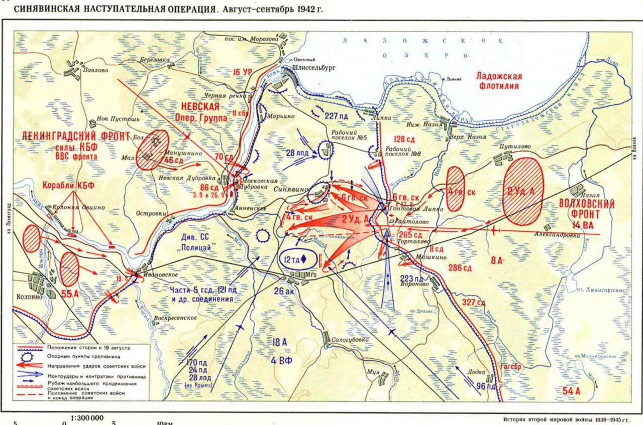Синявинской наступательной операции 1942 года
