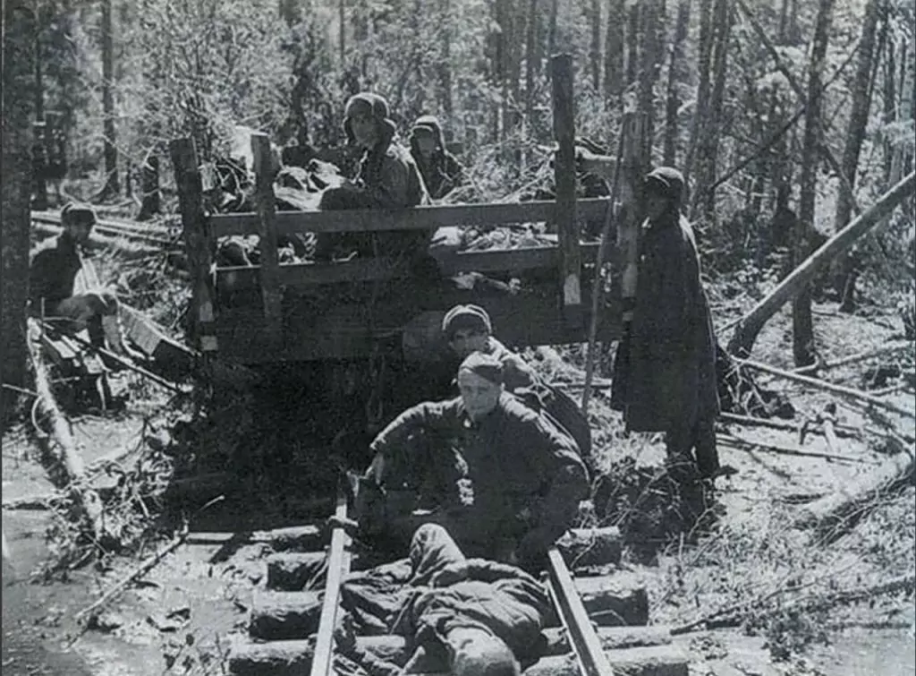 1942 Год деревня мясной Бор. Георг Гундлах Волховская битва. Волховский фронт мясной Бор. Волхов 1942 Волховский котел.