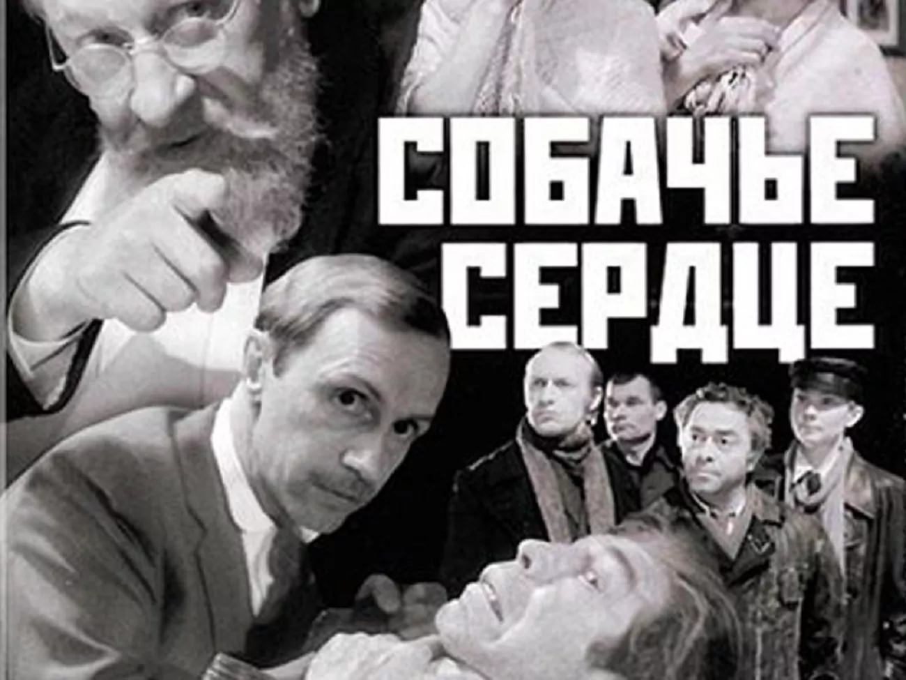 20 ноября 1988 года - В широкий прокат вышел фильм «Собачье сердце» -  Русский Исполин